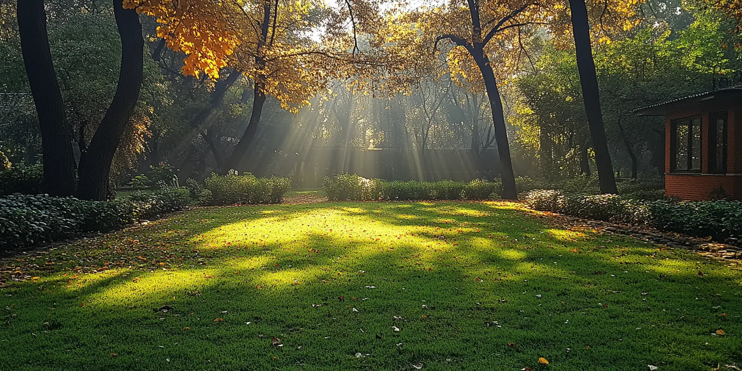 Trawa z rolki ile kosztuje?