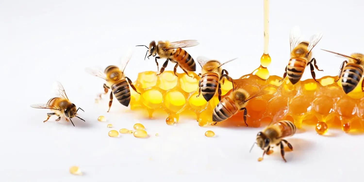 Miody wielokwiatowe z dodatkami